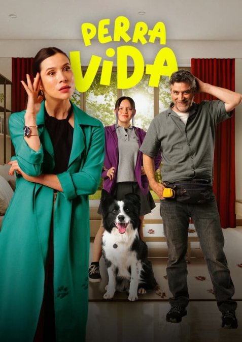 Життя собаки