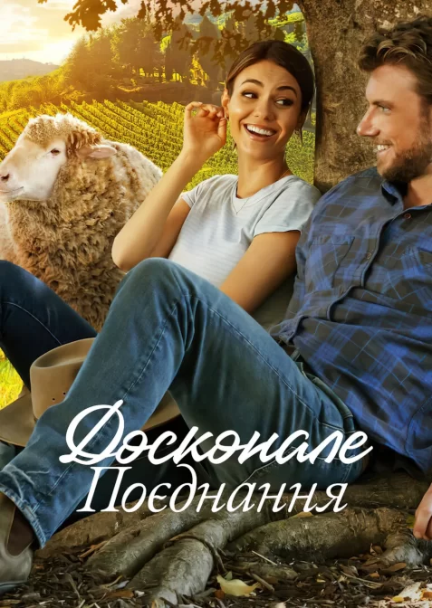 Досконале поєднання