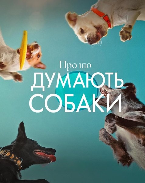 Про що думають собаки