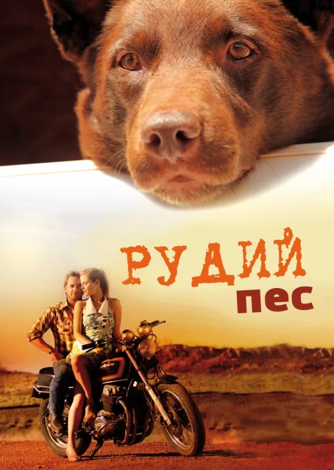 Рудий пес